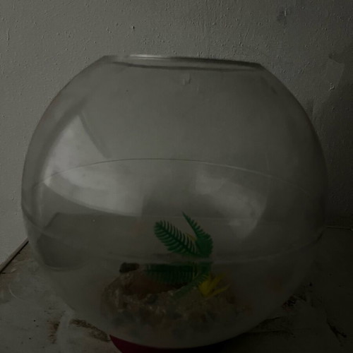 Fishbowl like new