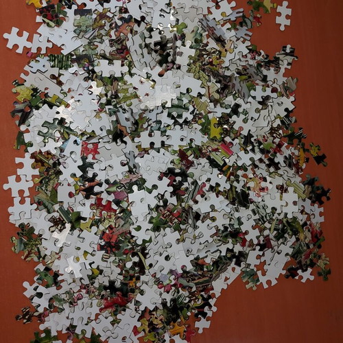 Galison Houseplant Jungle 1000-piece puzzle
