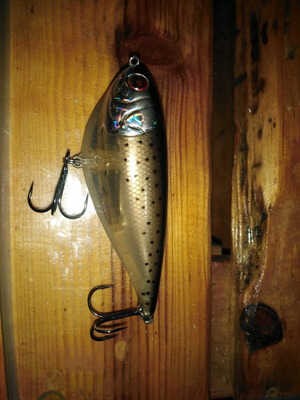 Sebile Bonga Jerk like new lipless minnow 24gr 95ft