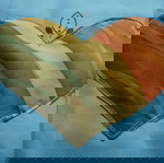  ΤΣΑΝΤΑ ΓΙΑ ΨΩΝΙΑ