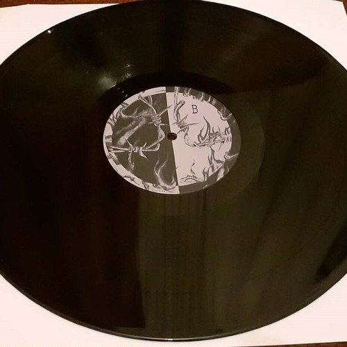 Active Member Diamartyria LP near mint 2006 reissue