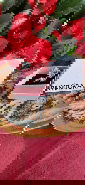 Δαχτυλίδι Pandora ολοκαίνουριο, νούμερο 56