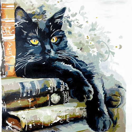 Paint by Number Canvas Picture Acrylic Cat Painting 50x40cm new