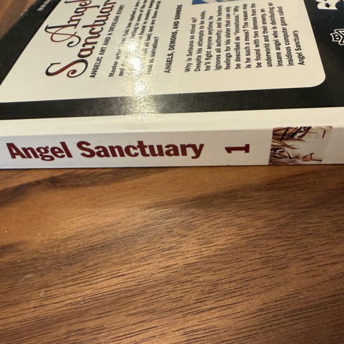 Angel Sanctuary Vol.1 by Kaori Yuki, like new, English