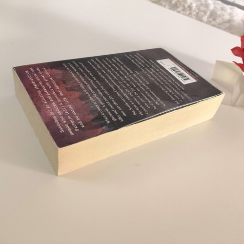 Succubus Blues book like new, English fantasy fiction