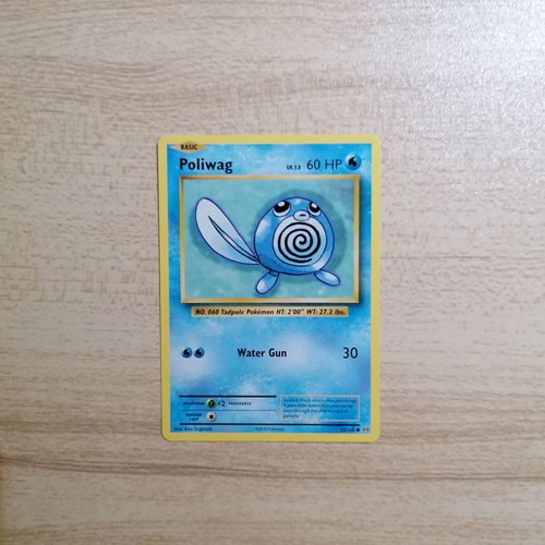 Pokémon Poliwag Evolutions 2016 card new