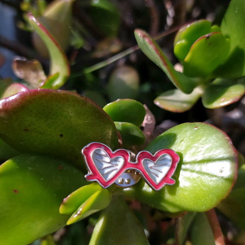 Pin brooch