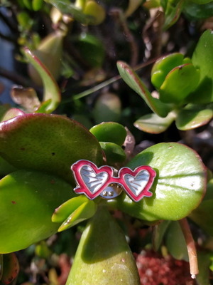 Pin brooch