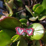 Pin brooch
