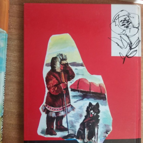 Children and Teen Books used, set of 6 pieces