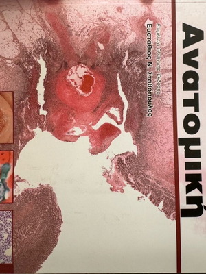 General and Systematic Pathological Anatomy Stathopoulos new