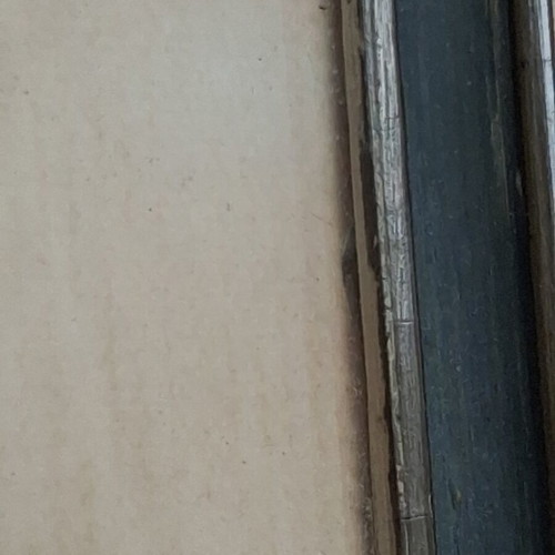 Pair of old botanical engravings Redouté Les Roses used, 31x41 cm