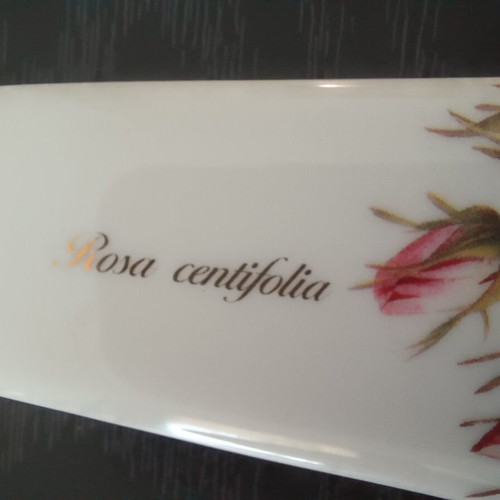 Porcelain cake stand with base and serving spatula MCA Home Collection like new