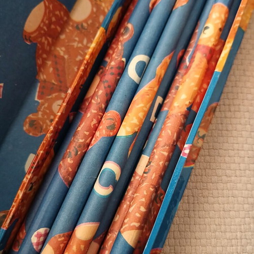 Vintage Teddy Bear Pencil Case with 10 Matching Pencils
