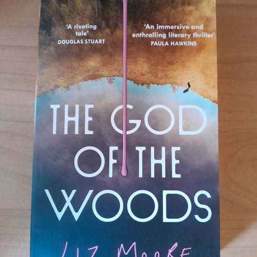The God of The Woods by Liz Moore like new, in English