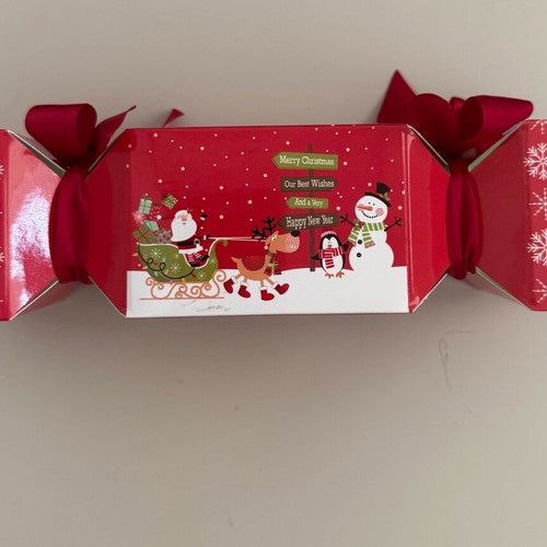 Christmas bath bombs pack new IDCInstitute with frosted cranberries scent