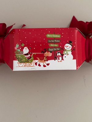 Christmas bath bombs pack new IDCInstitute with frosted cranberries scent