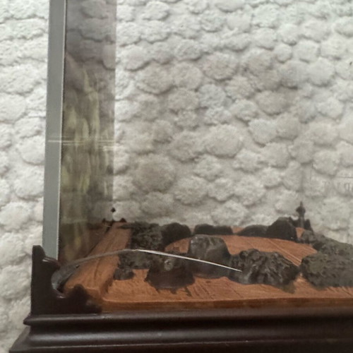 Noble Collection Mandrake Display like new without figure