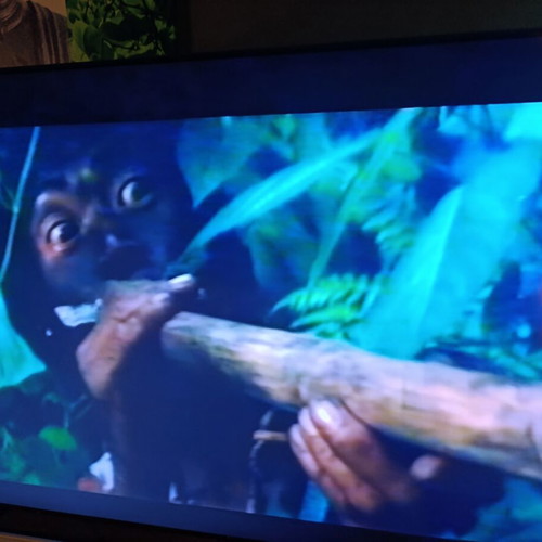 Οι Κυνηγοί της Χρυσής Κόμπρας VHS σαν καινούργιο, δράσης περιπέτεια