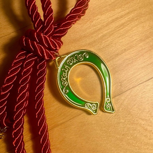 Good Luck Charm new