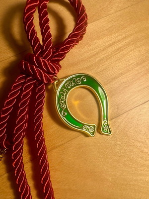 Good Luck Charm new