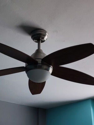 Ceiling fan with light and remote control, wooden blades, like new
