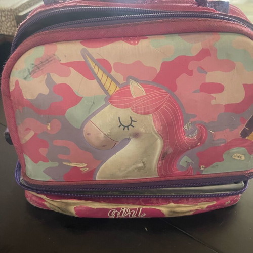 Lunch bag for girl used, worn and torn