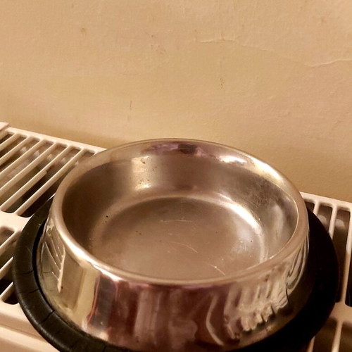 Small pet bowl used, stainless steel with non-slip base