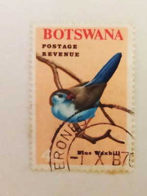 Пощенска марка от Ботсвана употребявана с Blue Waxbill