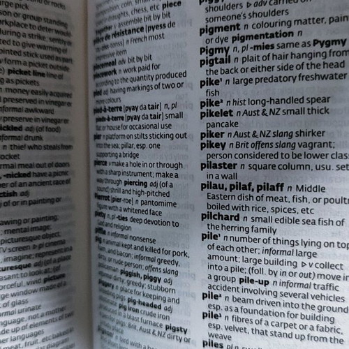 Collins English dictionary like new with pocket case