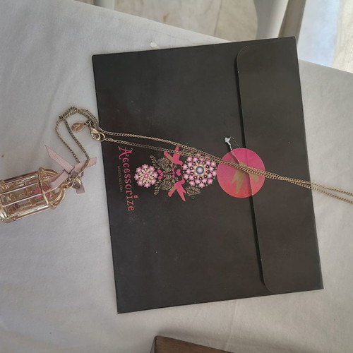 Accesorize bird cage pendant necklace used with pink ribbon