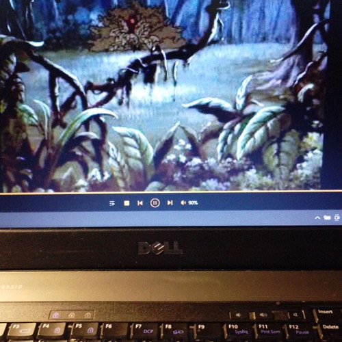 The Black Pirate DVD used, dubbed animated