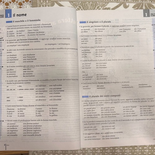 Grammaire facile du français language learning book used, Italian edition