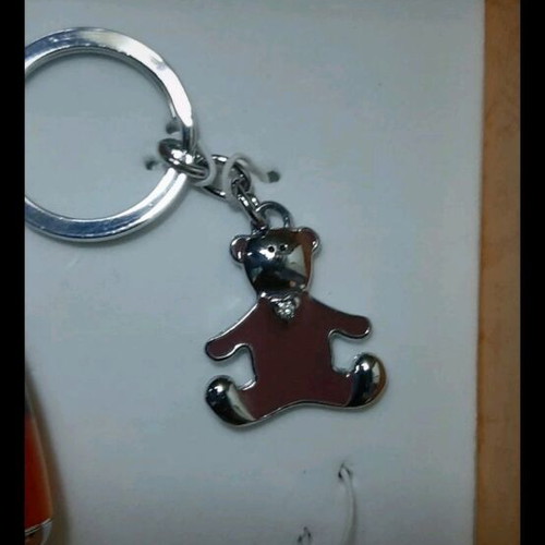 Keychain and pen set new