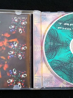 Transwave - Phototropic