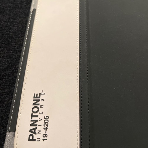 Pantone iPad case new