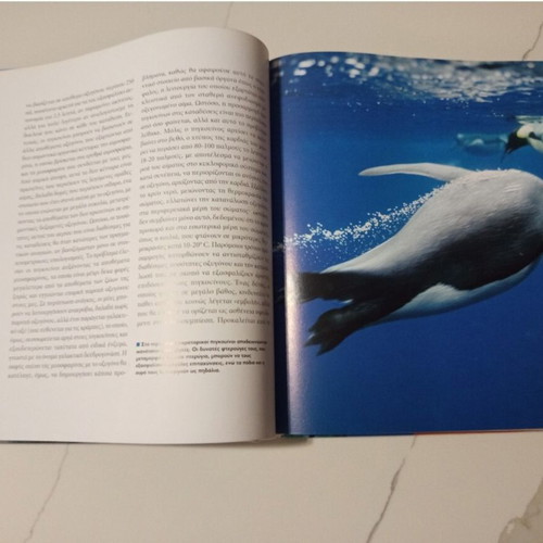 The Encyclopedia of Animals Volume 10 used, Penguins and Southern Pole Animals