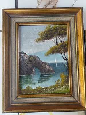 Set of two small framed paintings
