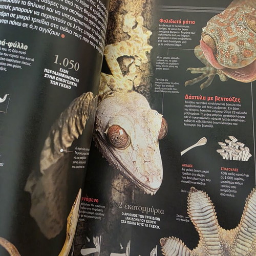 Atlas of Sciences: Reptiles and Dinosaurs like new, Greek