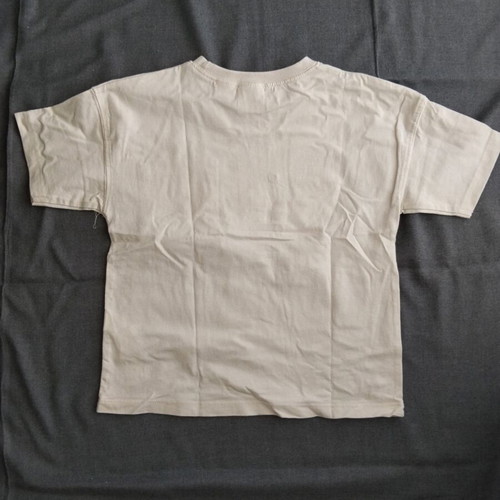 Zara short-sleeve T-shirt for boys 4-5 years, beige