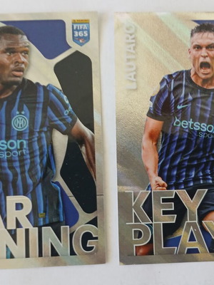 Αυτοκόλλητα Panini μεταχειρισμένα, σετ 2