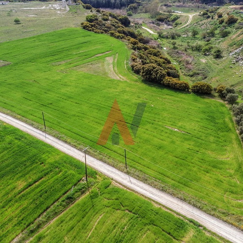 Buildable agricultural land 15,000 m² in Scholari Thessaloniki