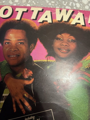 Vinyl record used