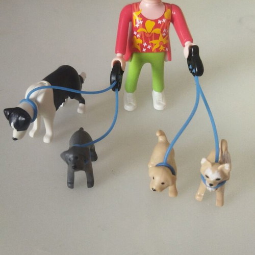 Playmobil 5380 dog walker collectible figure