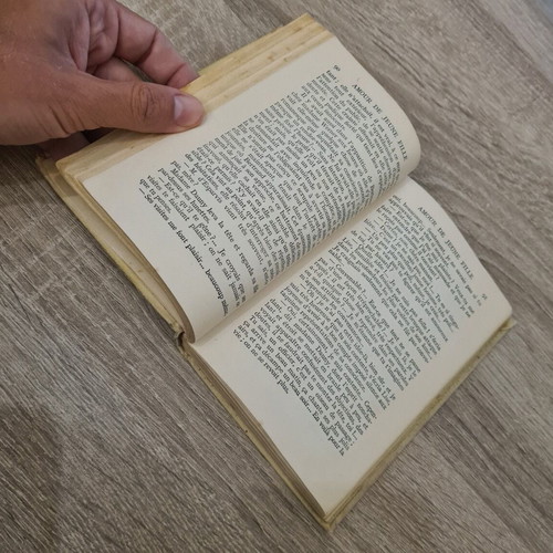 Madame E. Caro Amour de Jeune Fille used French book