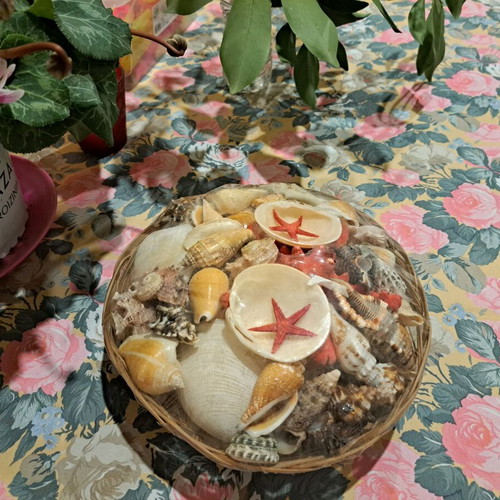 Basket with real seashells new for summer decoration
