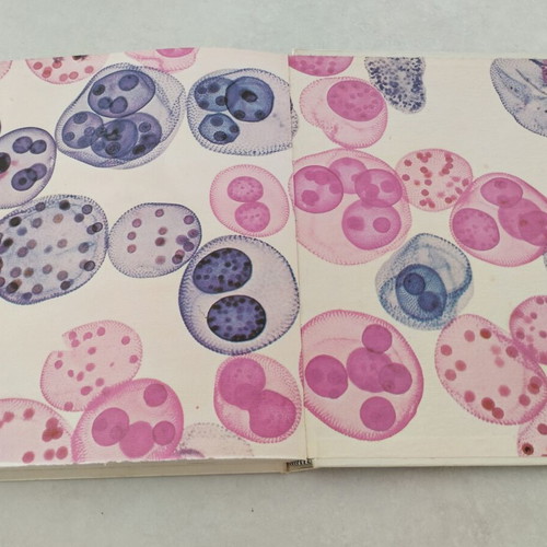 The Life Under the Microscope Vintage Hardcover Book like new