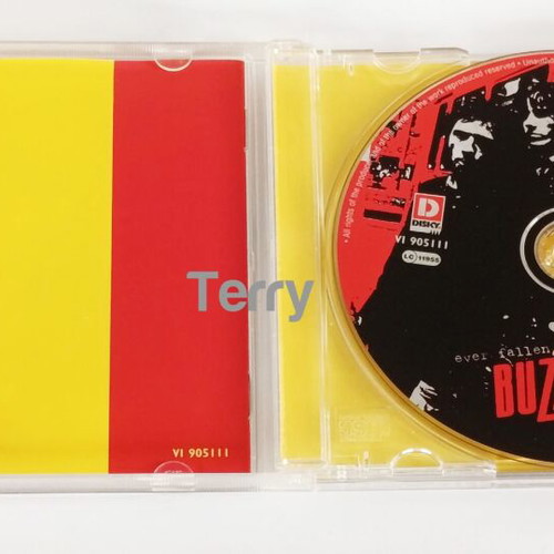 Buzzcocks Finest Ever Fallen in Love CD used, punk