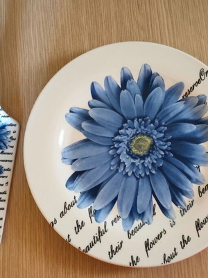 Cake plate with spatula like new