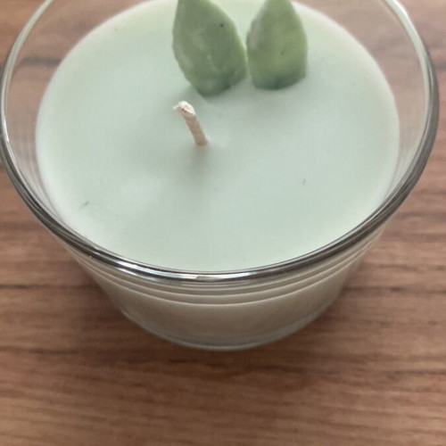 Soy Wax Candle Fresh Mojito